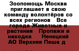 Зоопомощь.Москва приглашает в свою команду волонтёров со всех регионов - Все города Животные и растения » Пропажи и находки   . Ненецкий АО,Верхняя Пеша д.